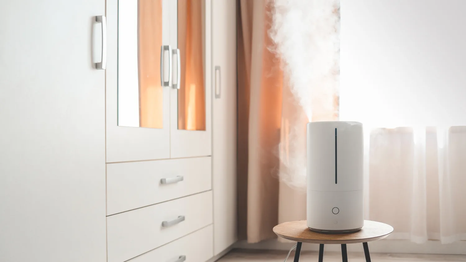 Humidifier or dehumidifier