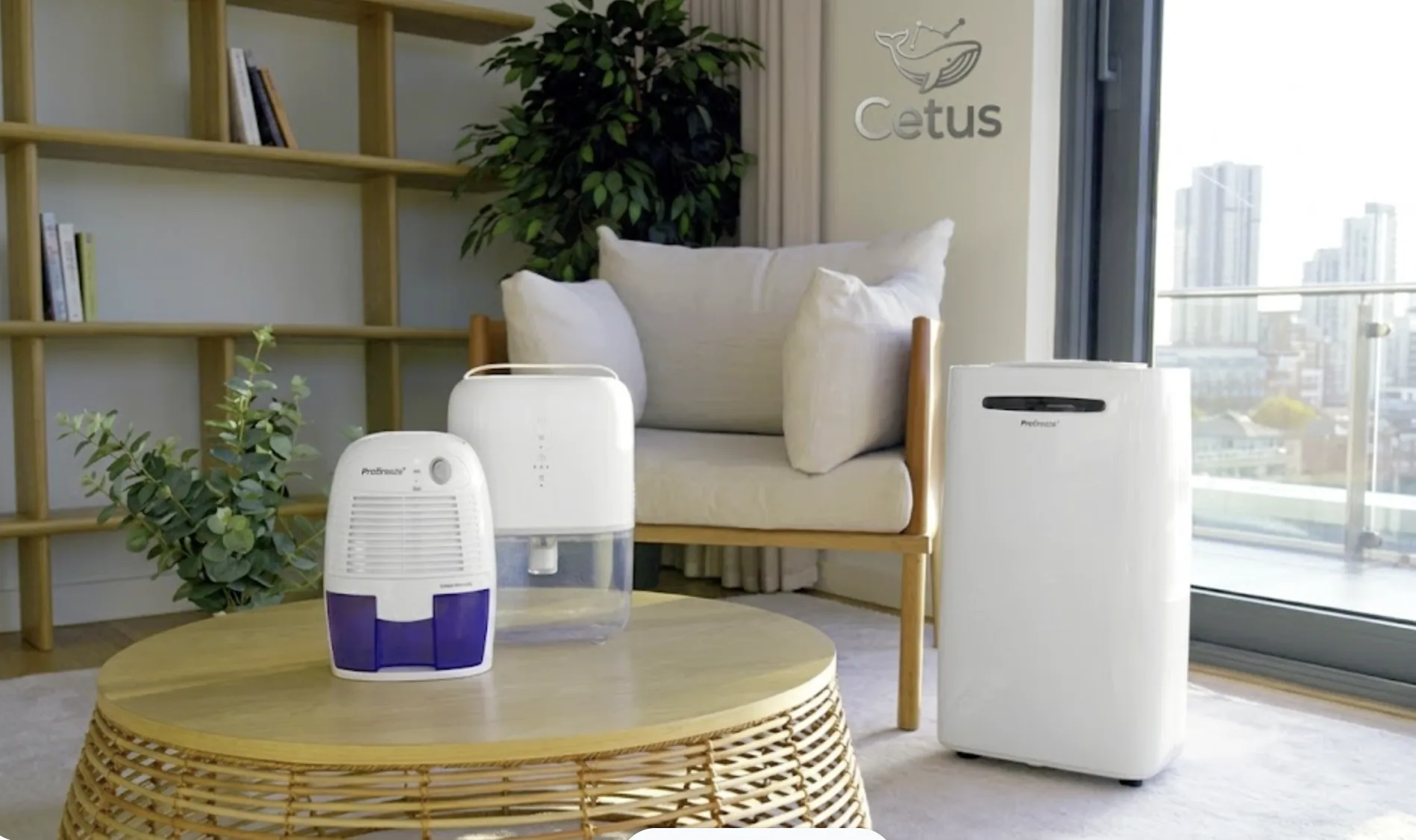 Best Dehumidifiers for Small Rooms and Apartments That Actually Work