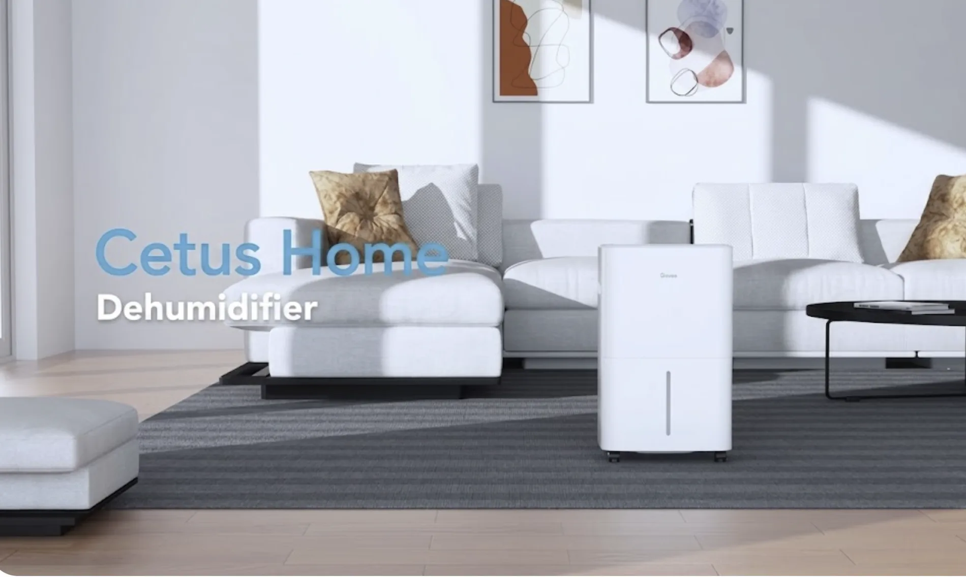 How to Choose a Dehumidifier for Large Rooms and Open Spaces?