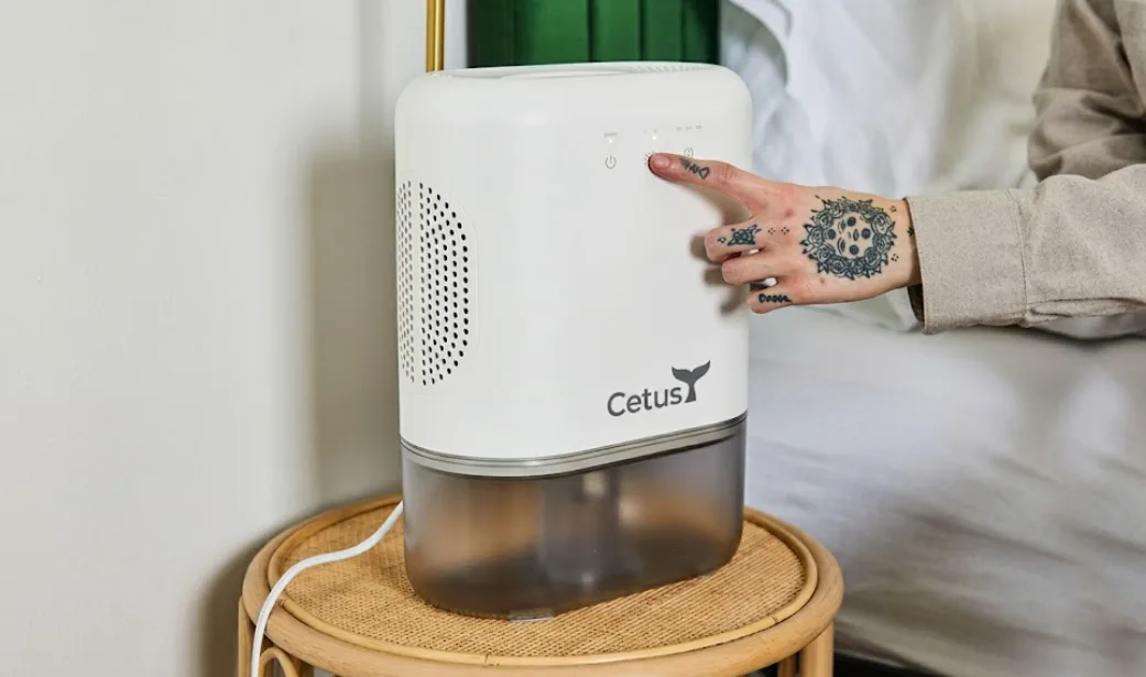 How to Use a Home Dehumidifier Properly for Beginners？