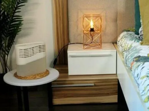 put a dehumidifier in bedroom