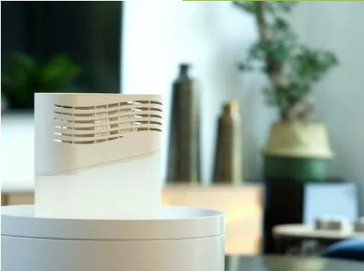 put a dehumidifier in Living Room