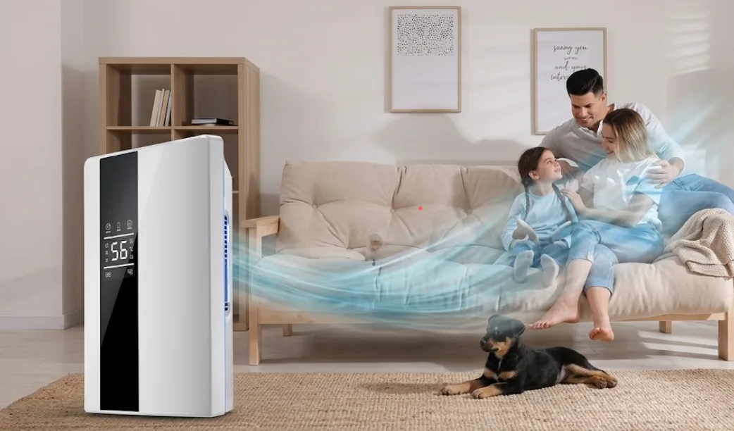What is a dehumidifier?