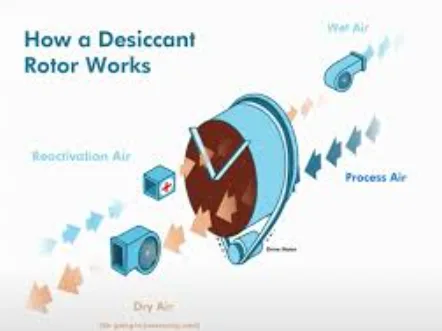 The Ultimate Dehumidifier Buying Guide: Comparisons, Rankings, and Top Recommendations